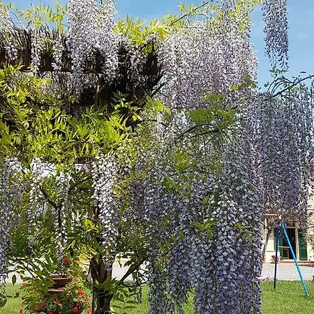 Il Catrino Apartament Ponteginori