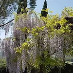 Il Catrino * Ponteginori