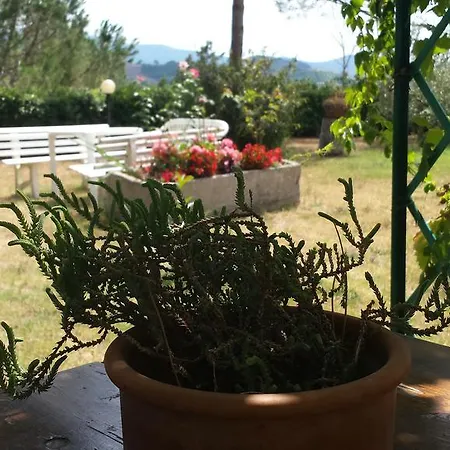 Il Catrino Ponteginori