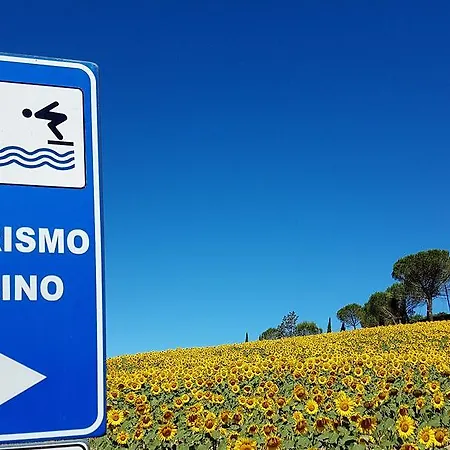 Il Catrino * Ponteginori