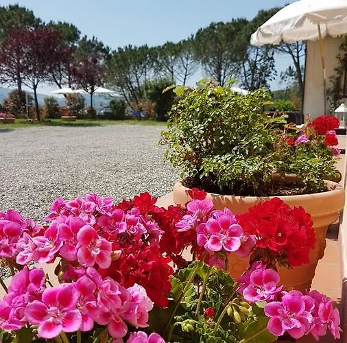 Il Catrino Ponteginori